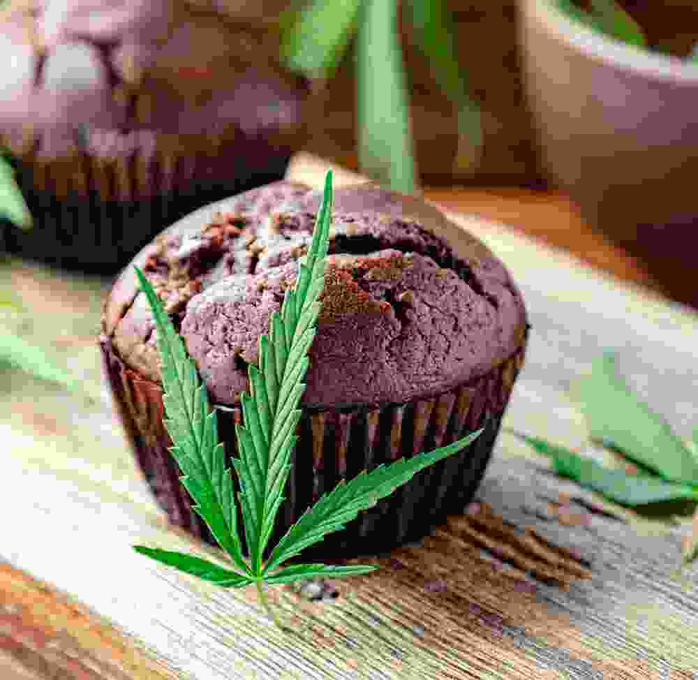 Shop Secondary Image Shop Secondary Image