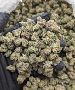 Triple Chocolate Chip Smalls 🍫